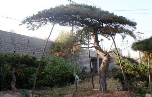 企業(yè)簡(jiǎn)介