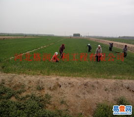 【出售膜下噴灌帶價格_湘潭縣大田噴灌廠家】-省內其它易登網